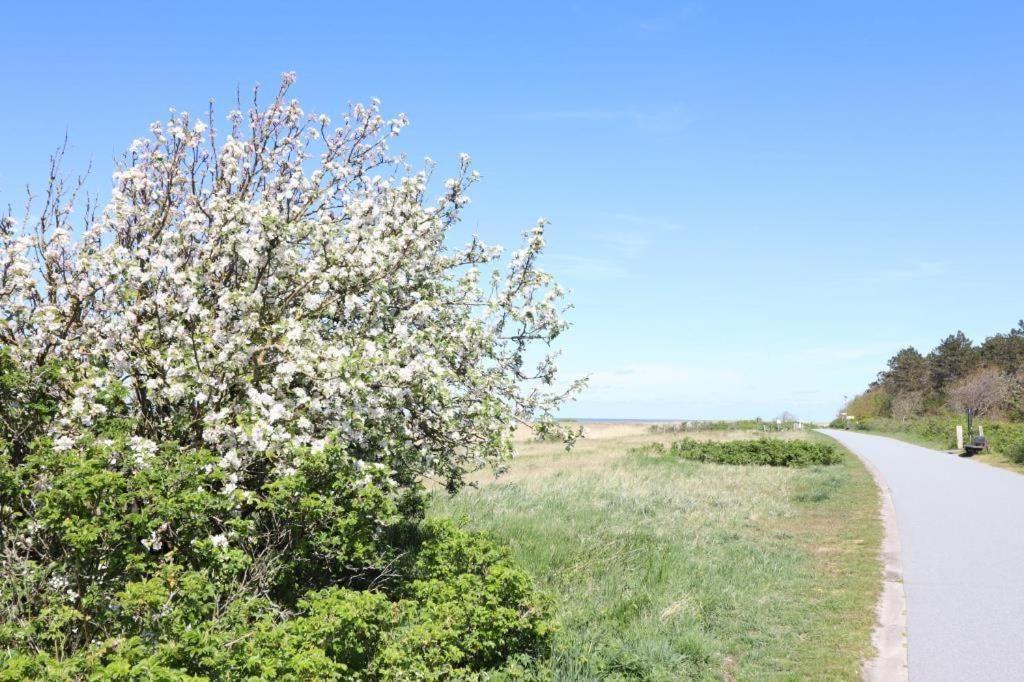 Haus Itjen Gelb 2 * Cuxhaven
